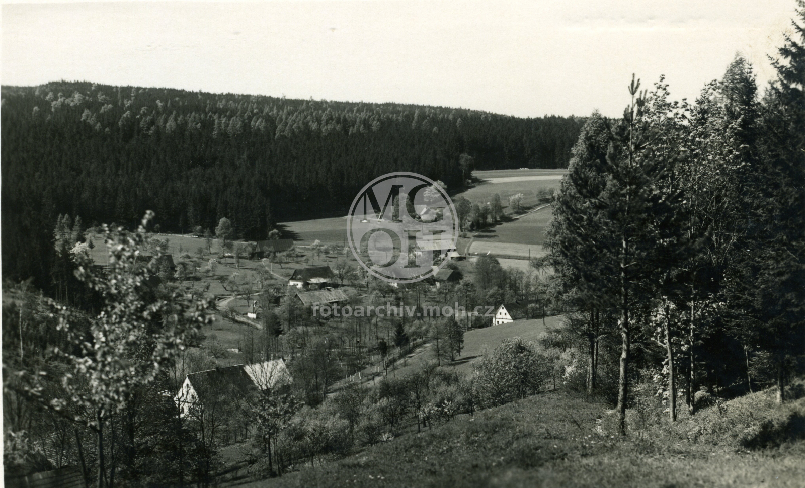 Fotografie - Celkový  pohled