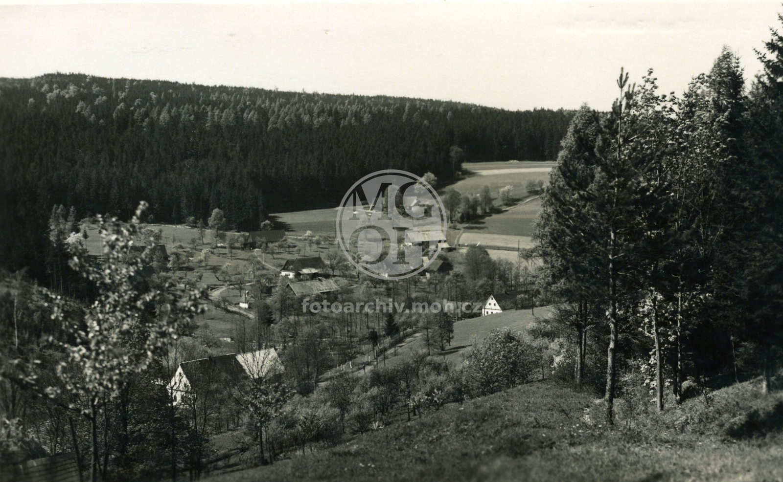 Fotografie - Celkový  pohled