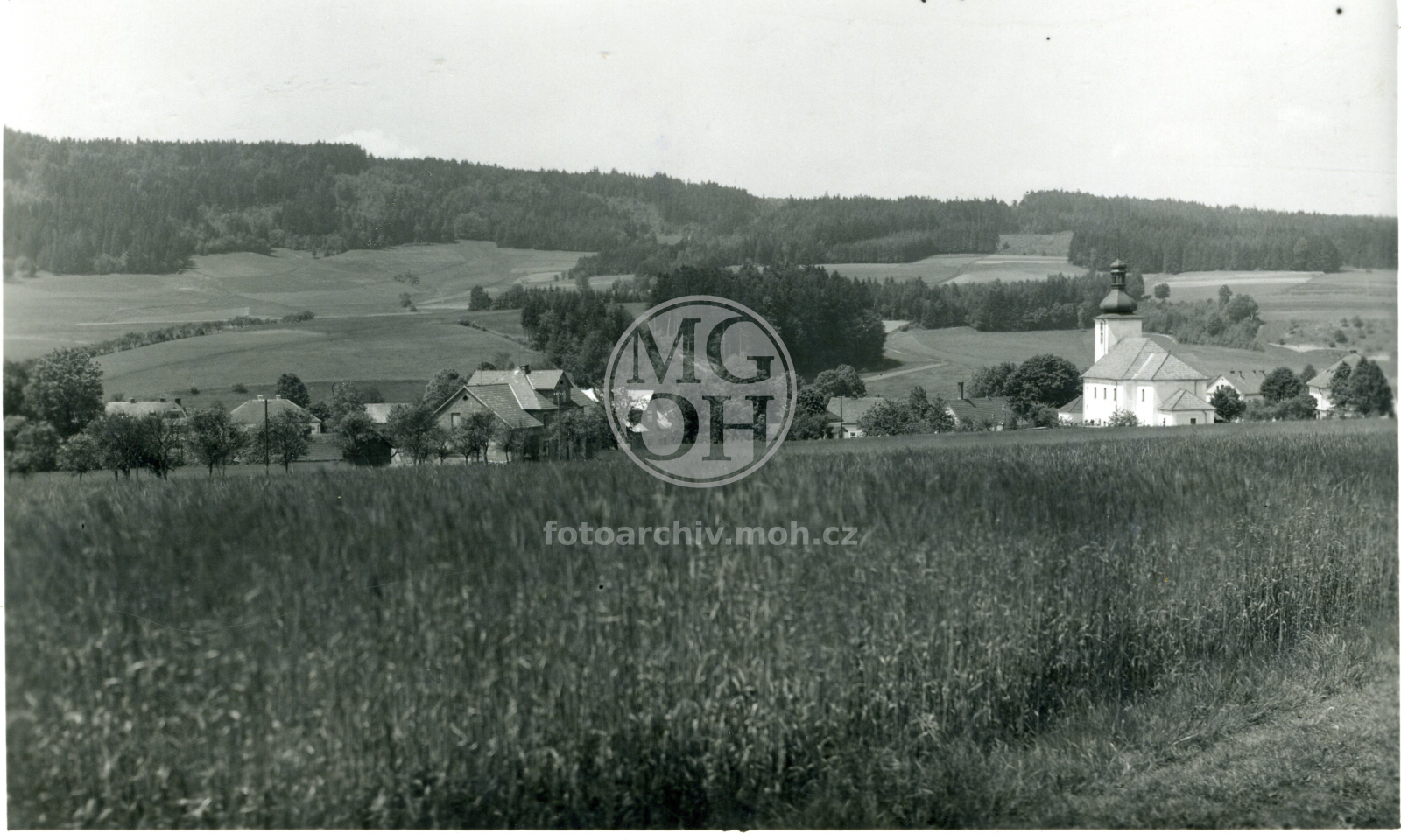 Fotografie - Celkový  pohled