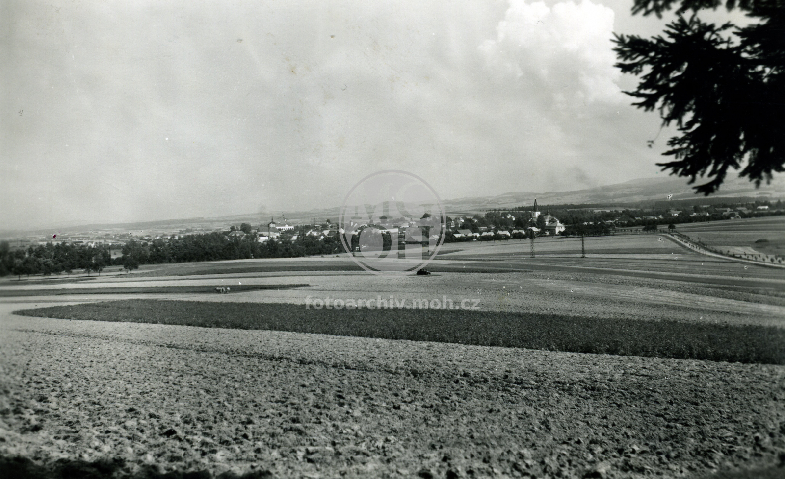 Fotografie - Celkový pohled