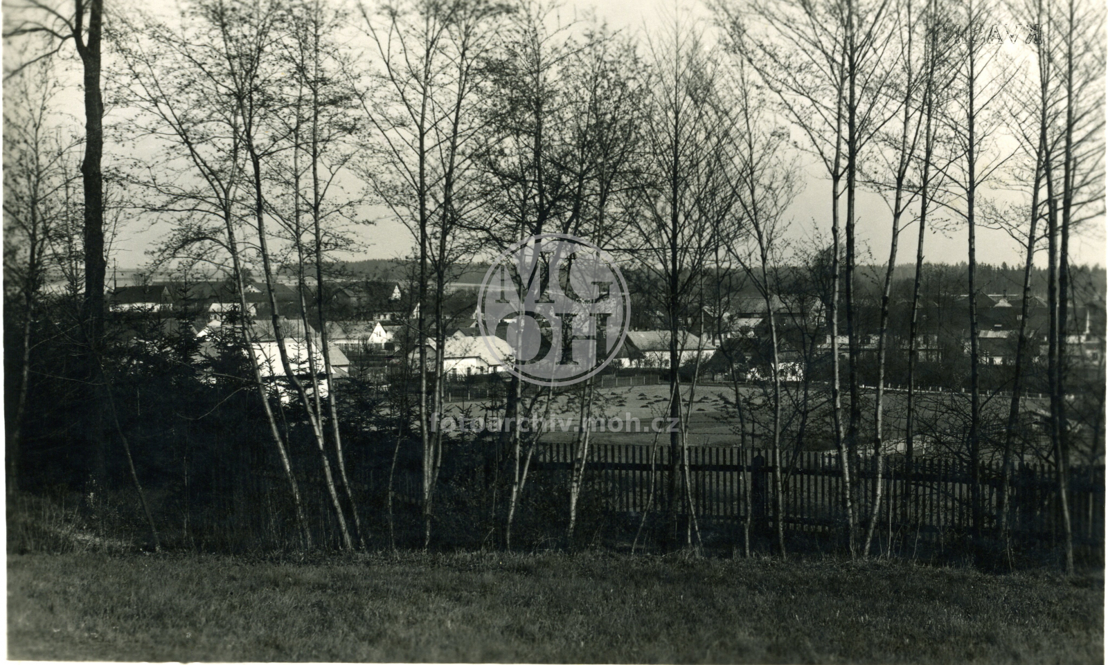 Fotografie - Celkový pohled