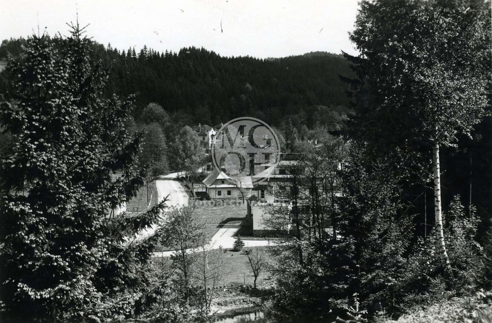 Fotografie - Celkový pohled