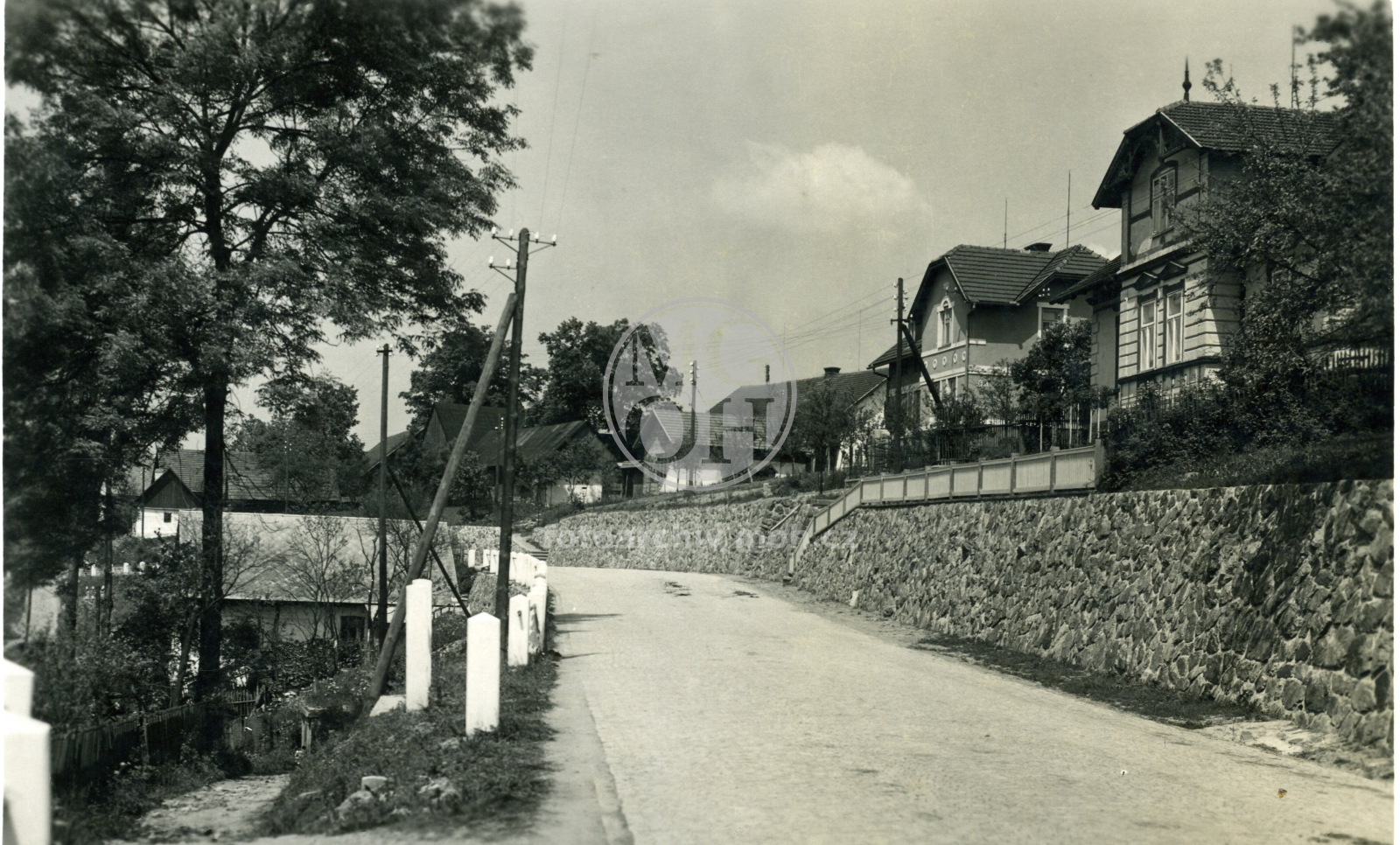 Fotografie - Celkový pohled