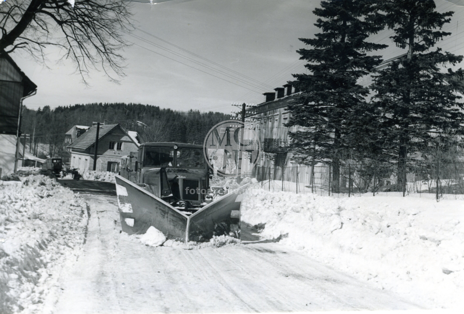 Fotografie - V zimě