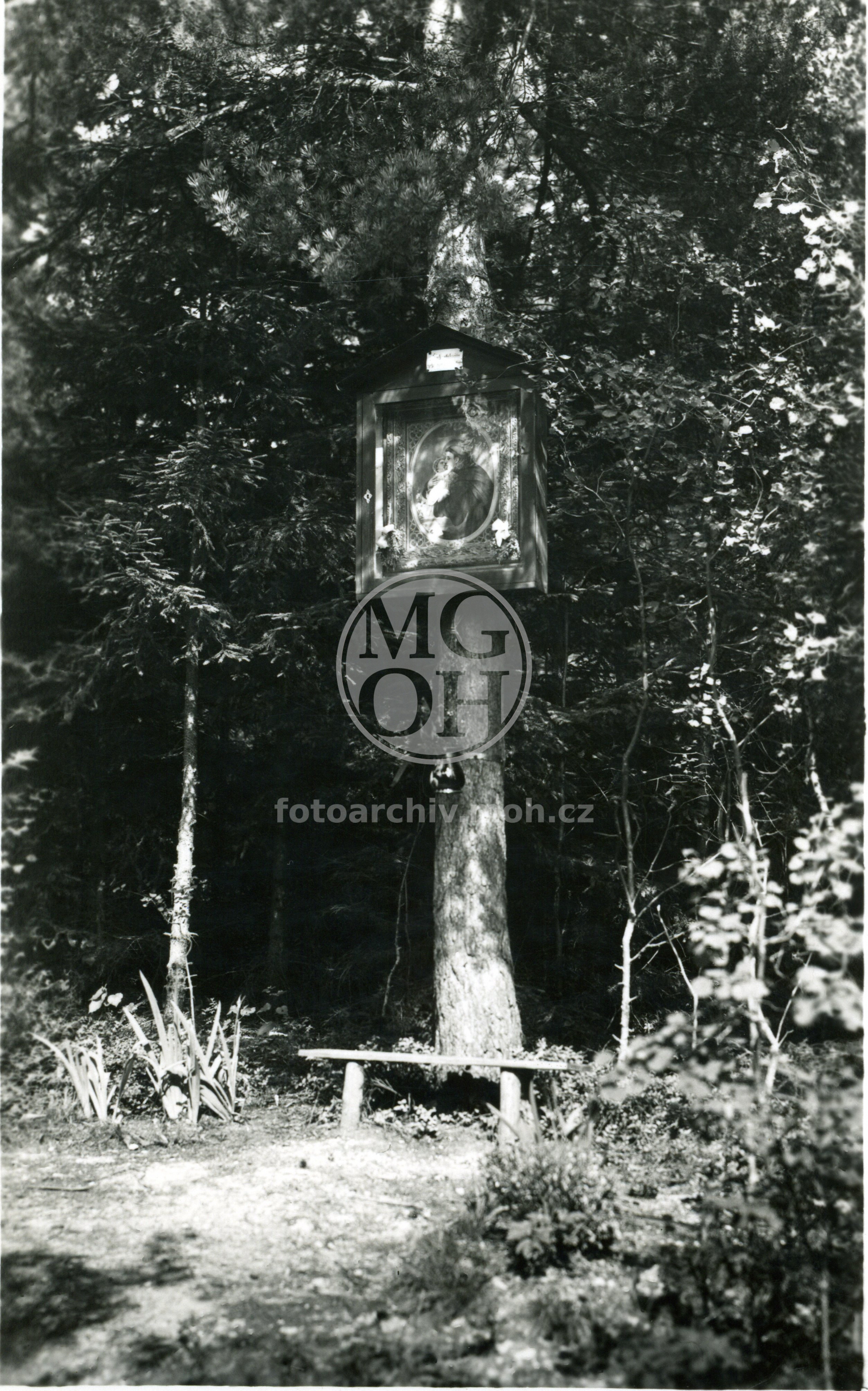 Fotografie - Březová alej (kaplička)