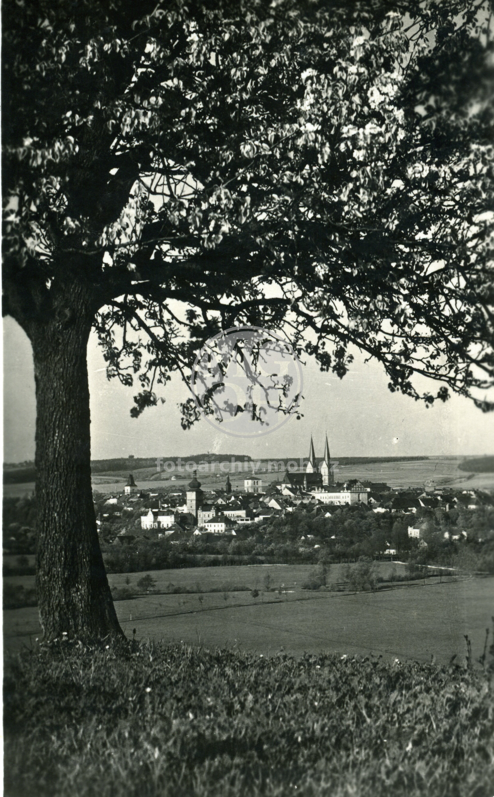 Fotografie - Celkový pohled