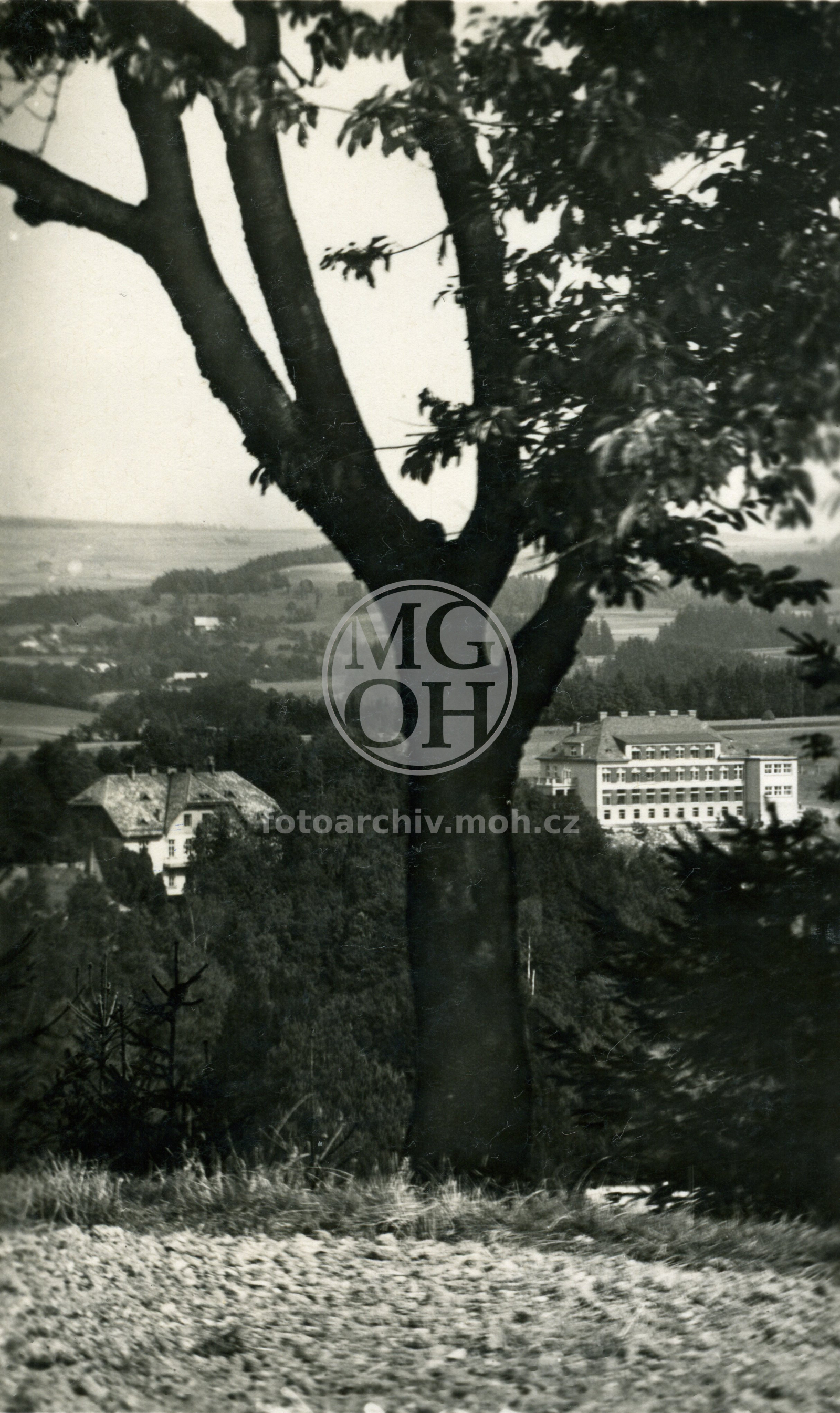 Fotografie - Celkový  pohled