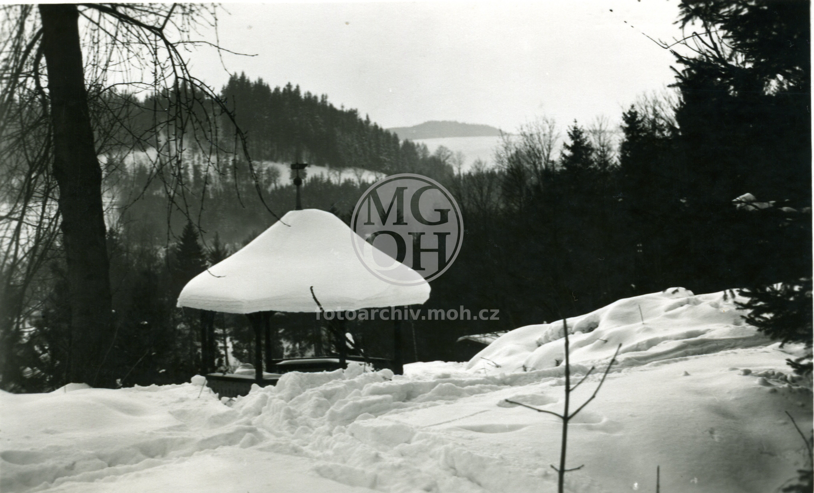 Fotografie - Zimní nálada