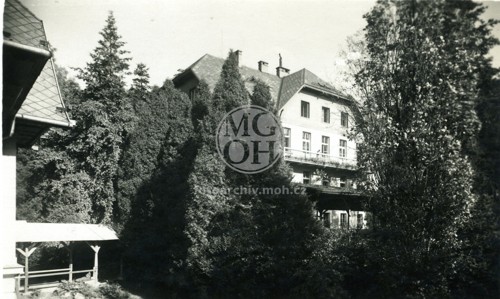 Fotografie - Albertinum