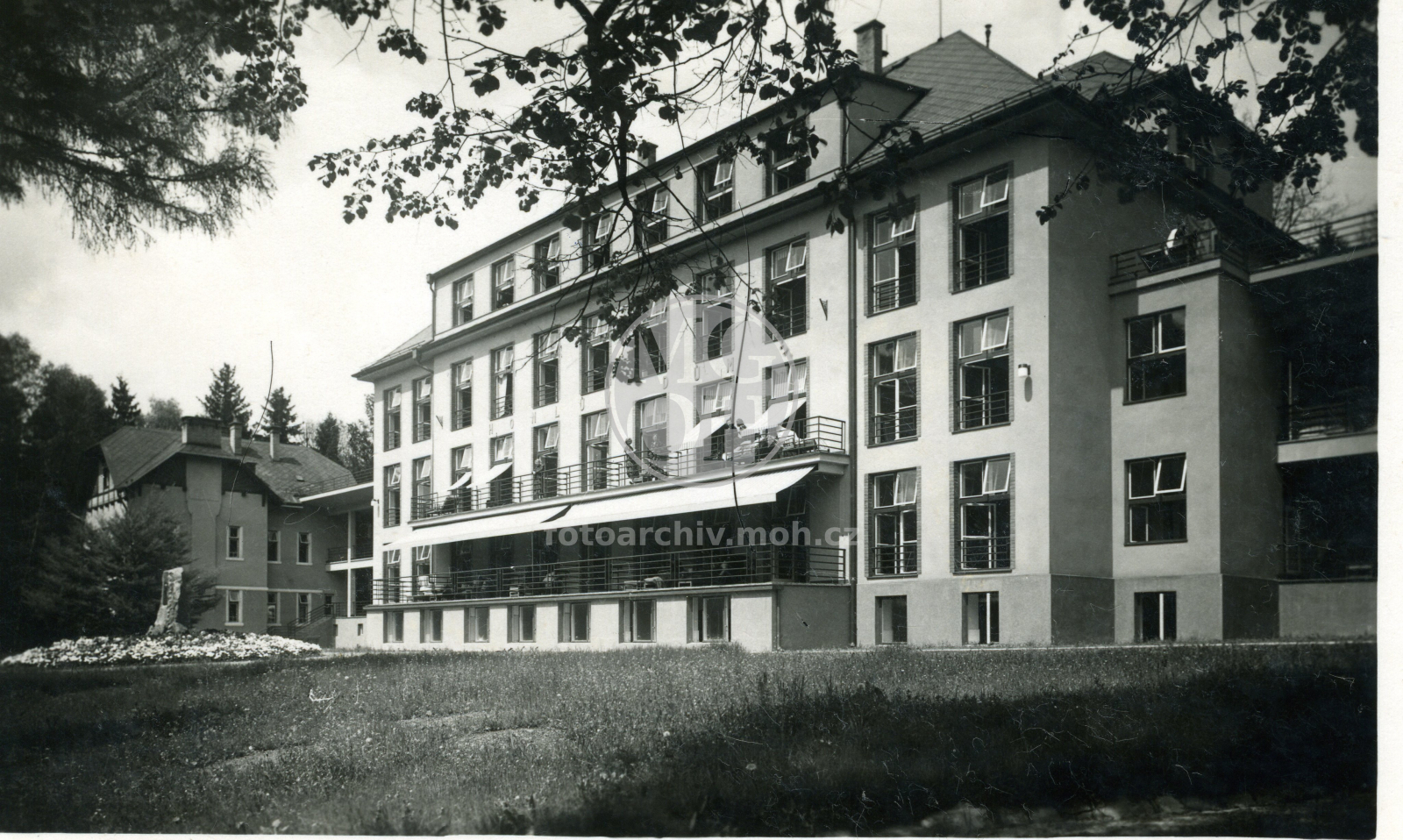 Fotografie - Albertinum