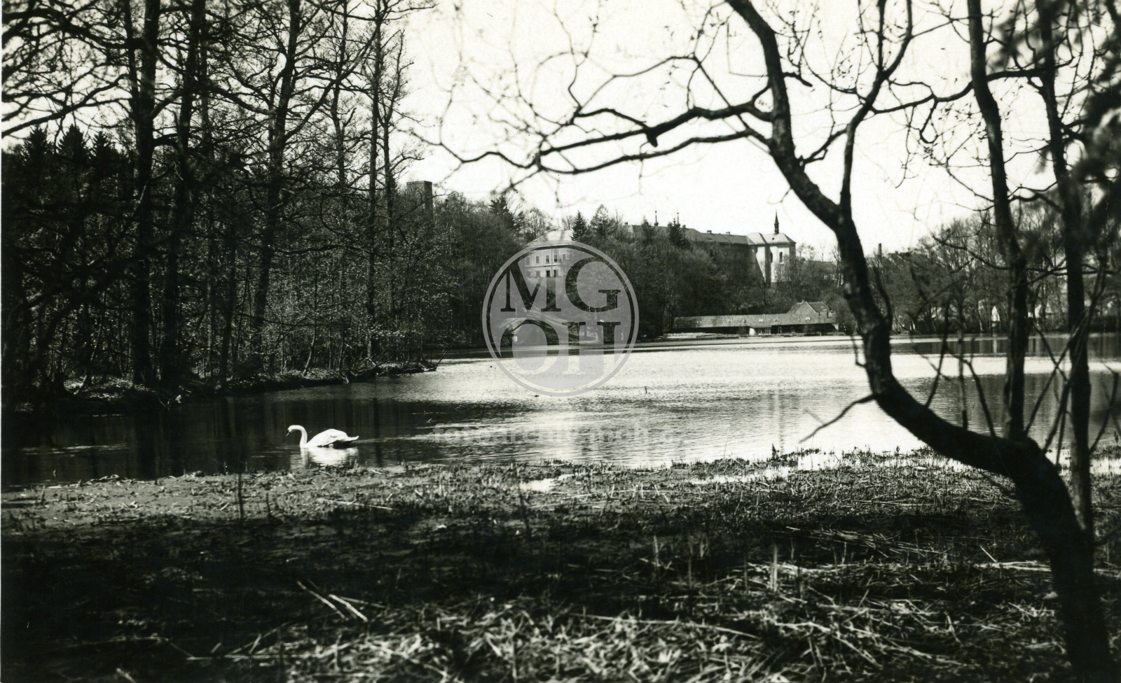 Fotografie - Zámecký rybník