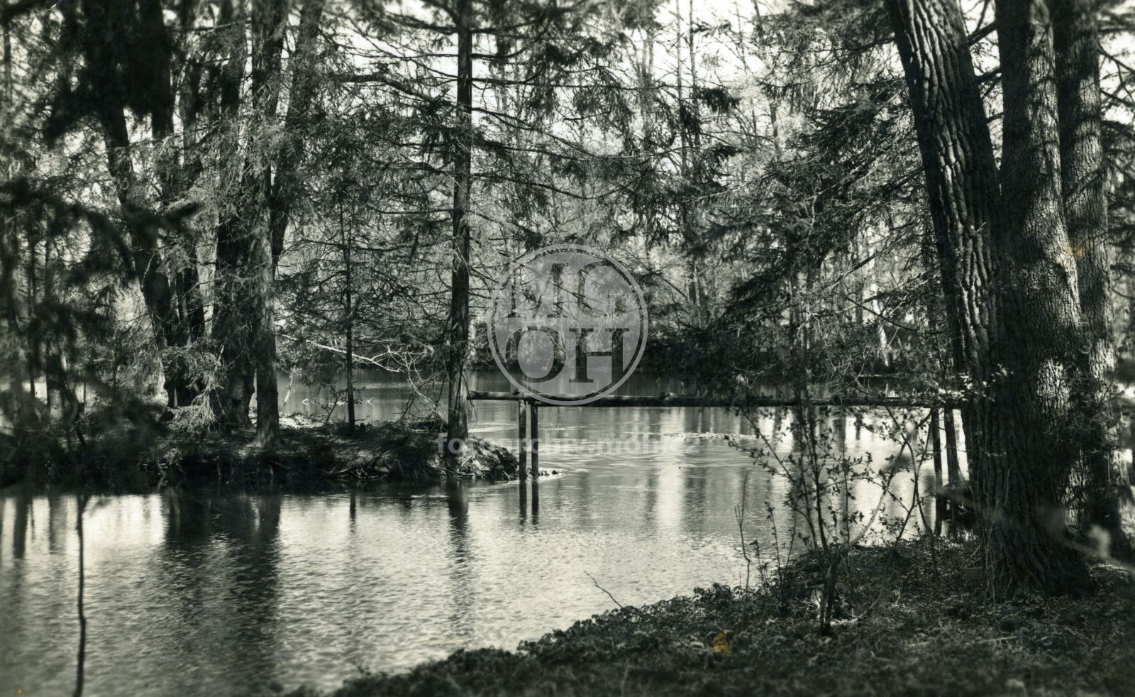 Fotografie - Zámecký rybník