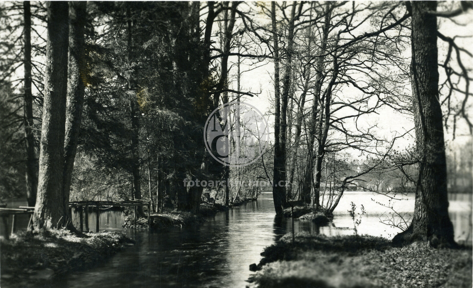 Fotografie - Zámecký rybník