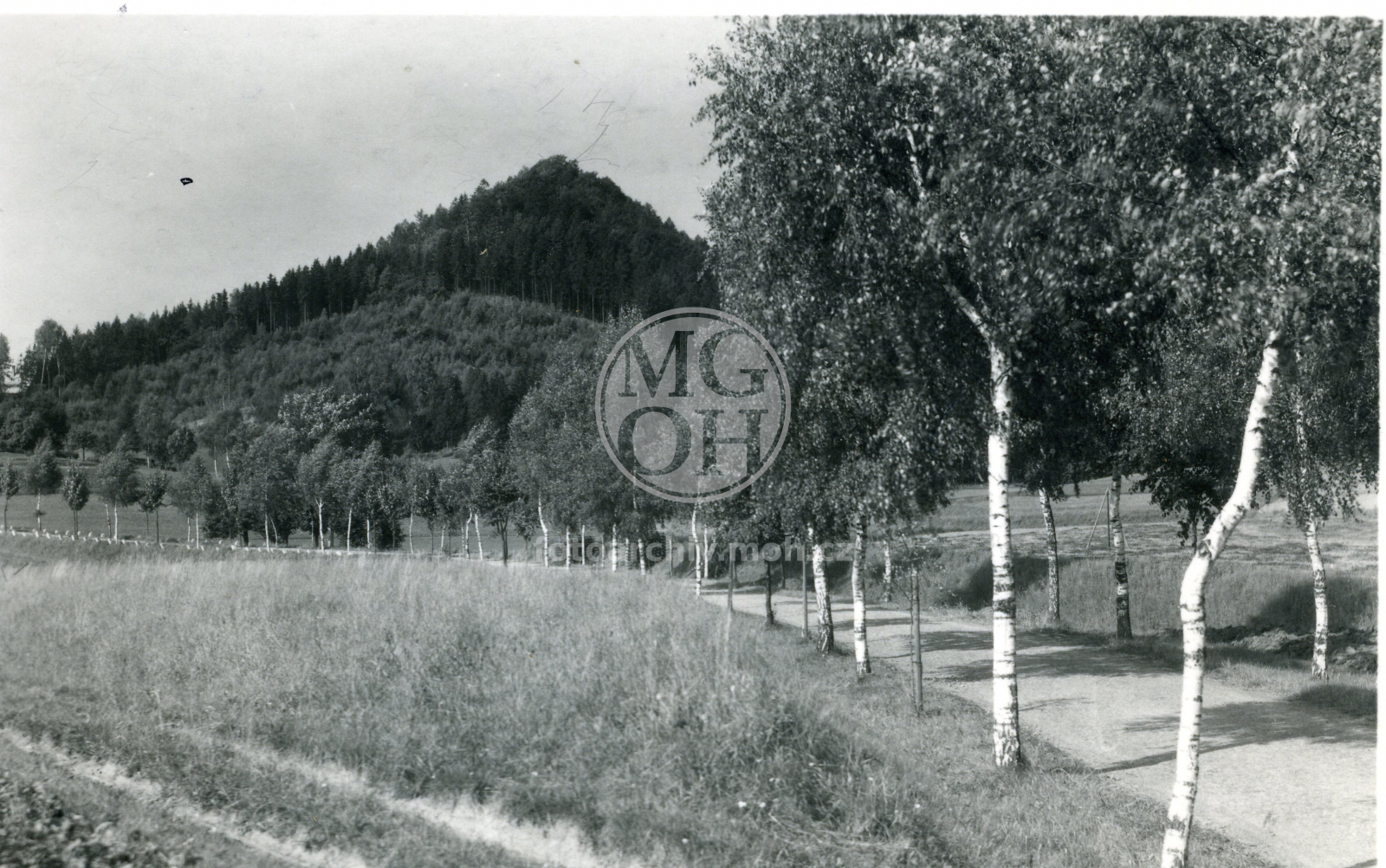 Fotografie - Celkový pohled