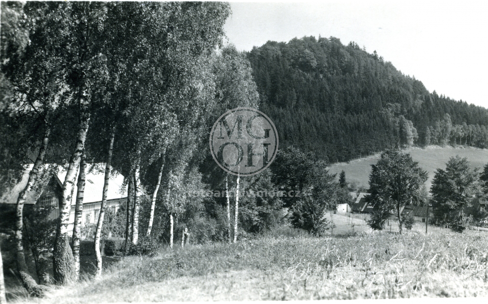 Fotografie - Celkový pohled