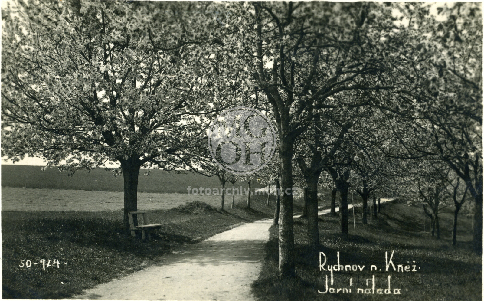 Fotografie - Třešňovka u Modřinek