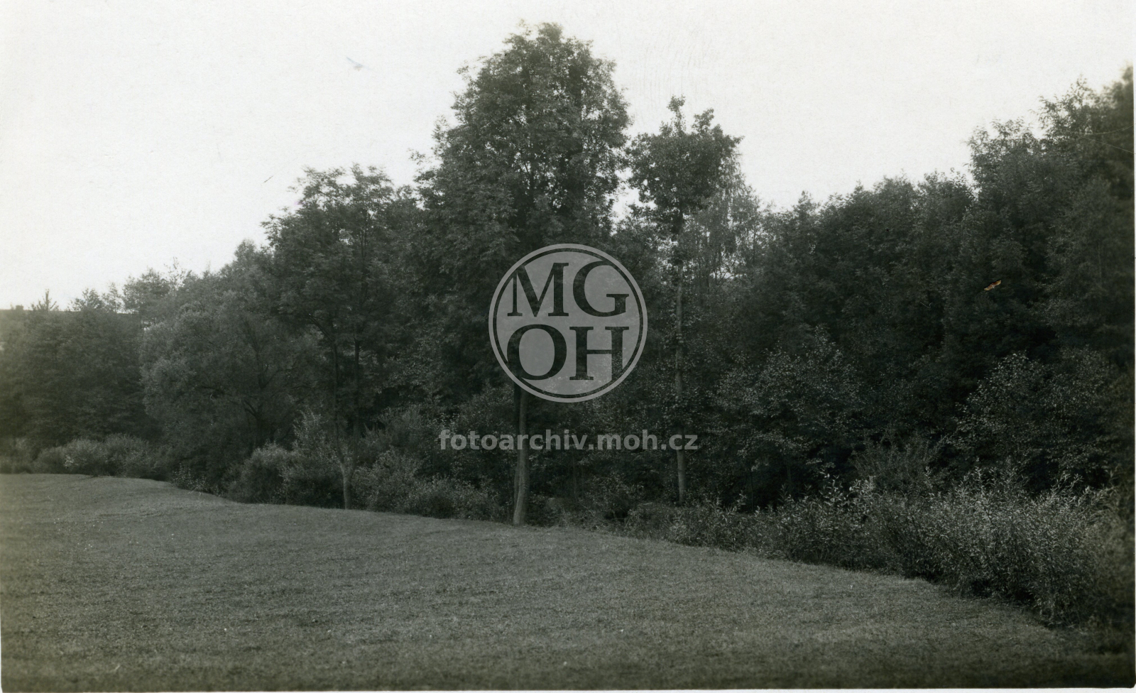 Fotografie - Staré řečiště Kněžny