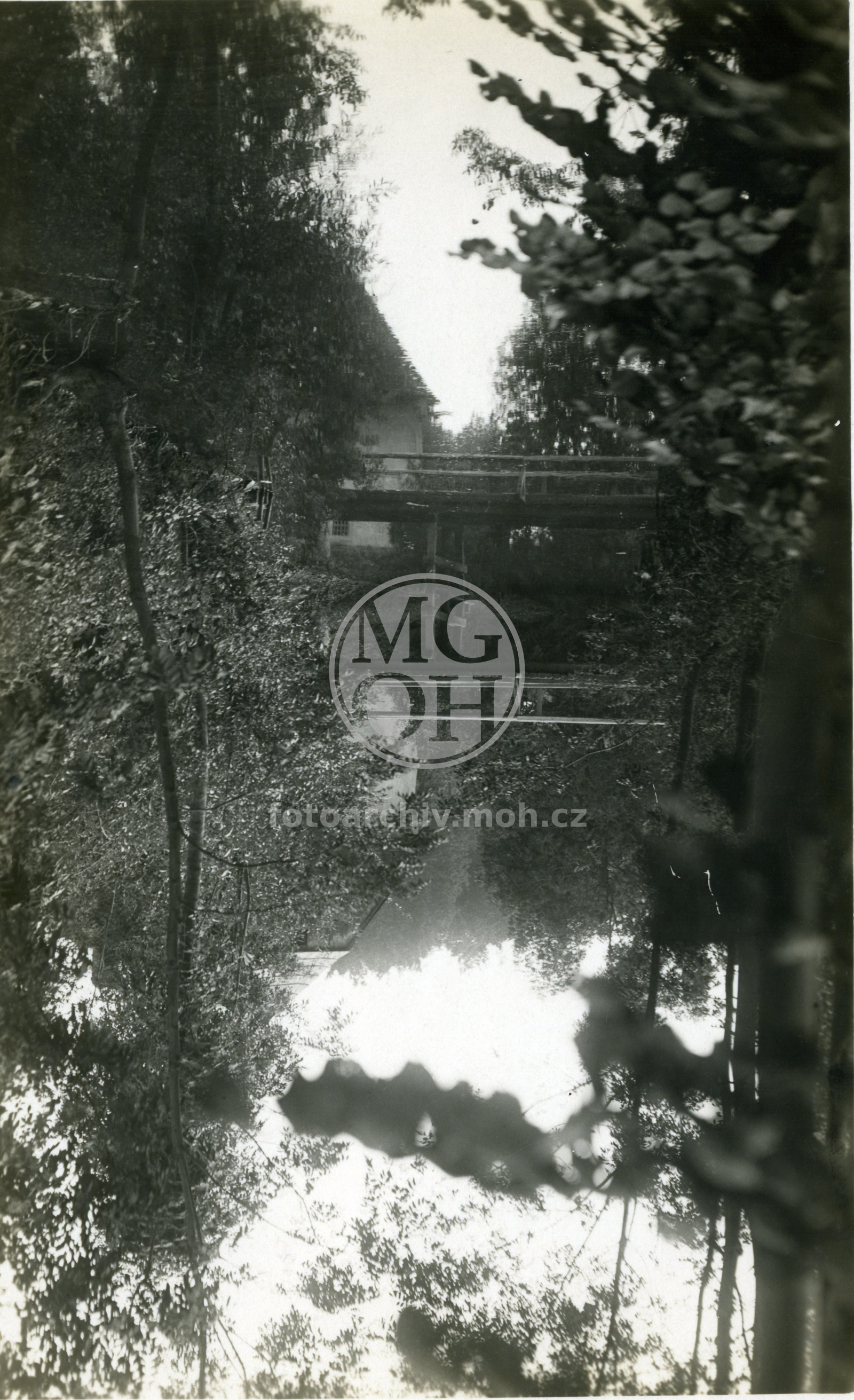 Fotografie - Staré řečiště Kněžny