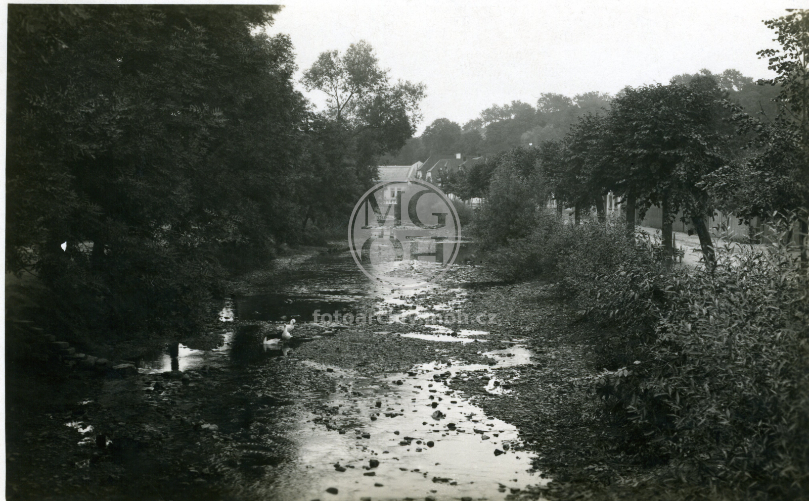 Fotografie - Staré řečiště Kněžny