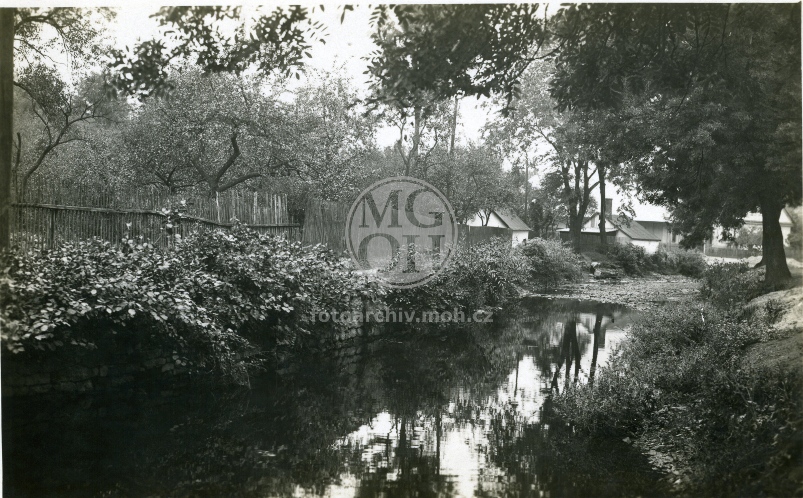 Fotografie - Staré řečiště Kněžny