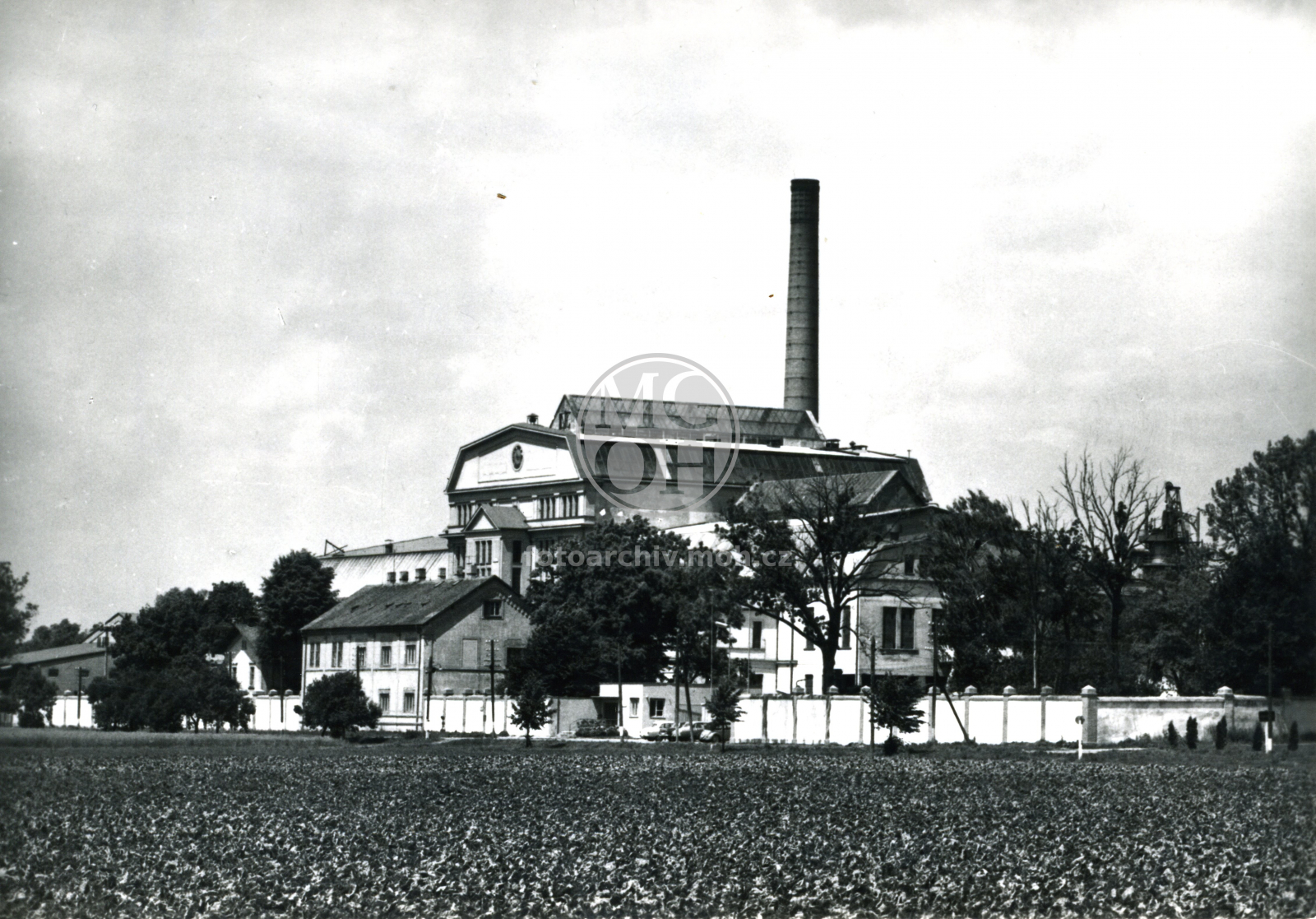 Fotografie - Cukrovar