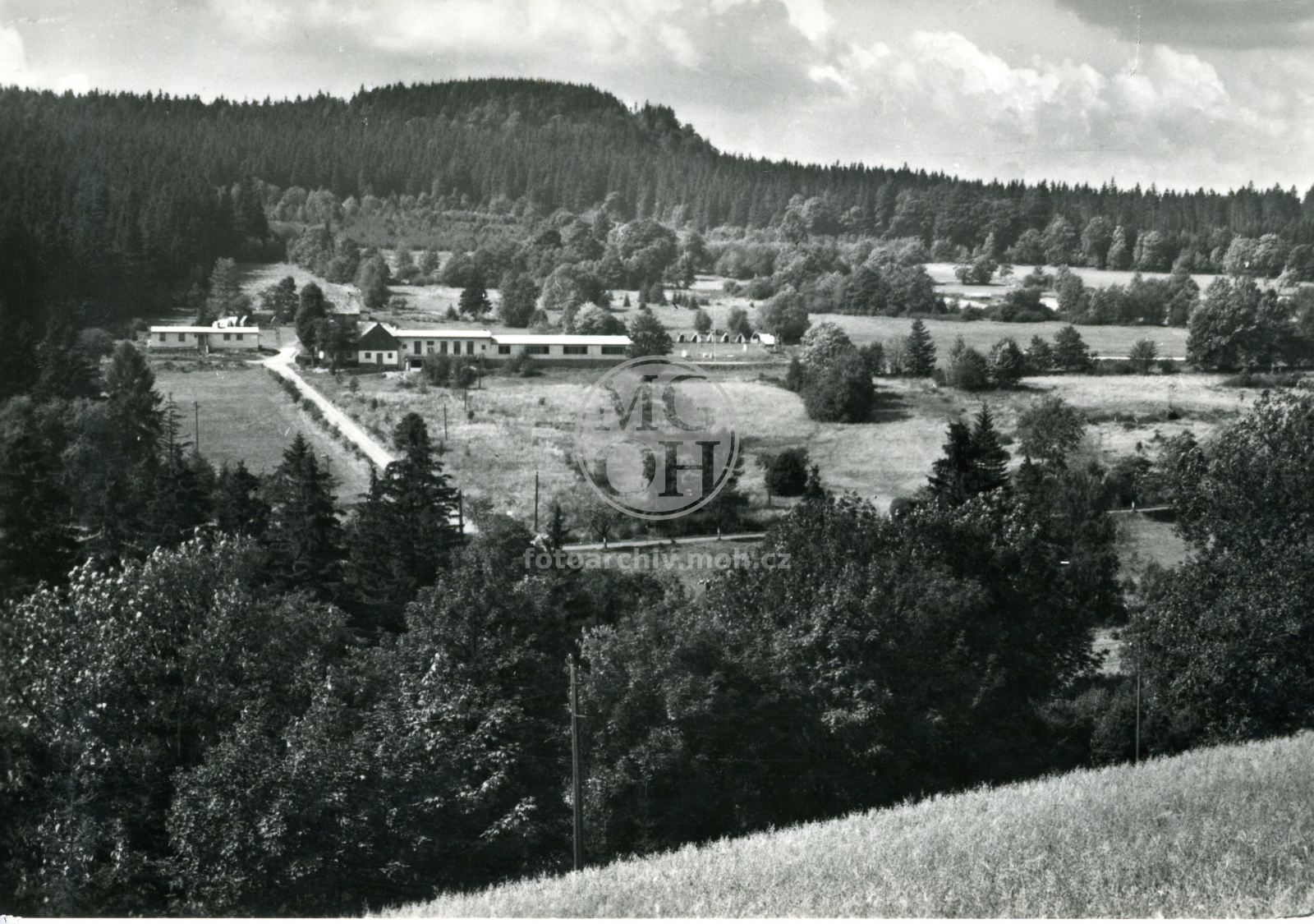 Fotografie - Jitřenka