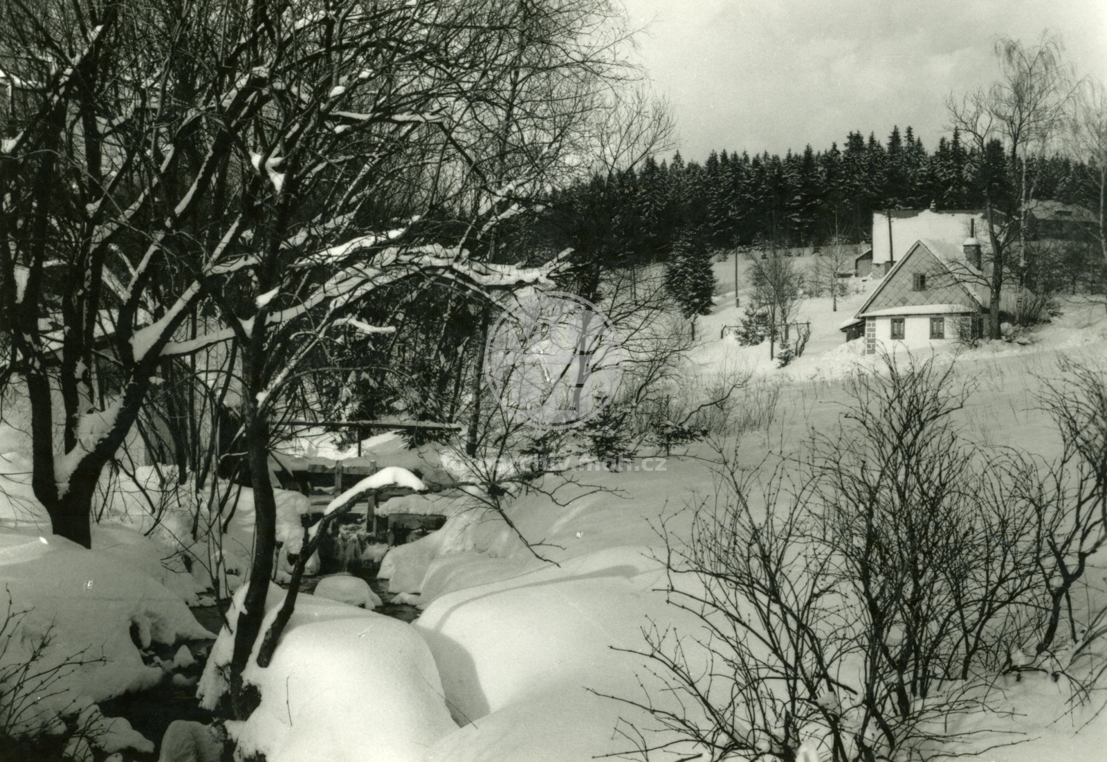 Fotografie - Zimní pohled