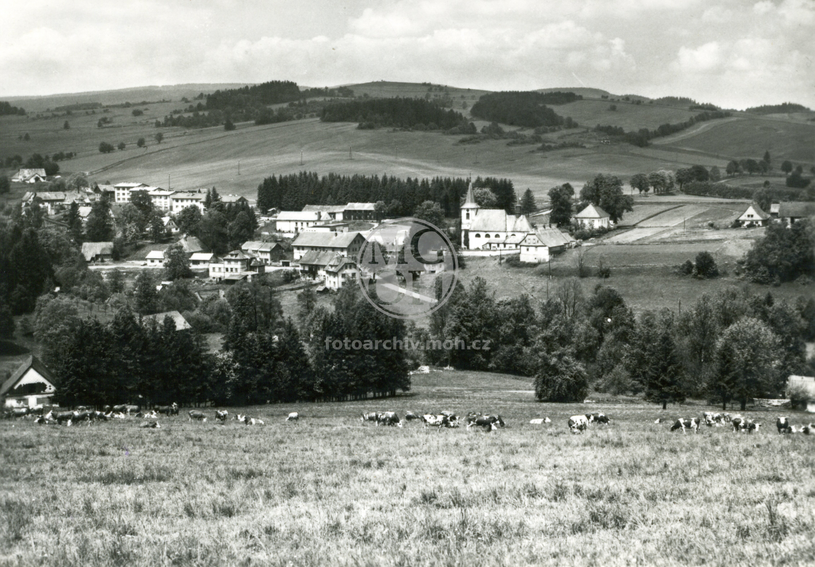 Fotografie - Celkový pohled