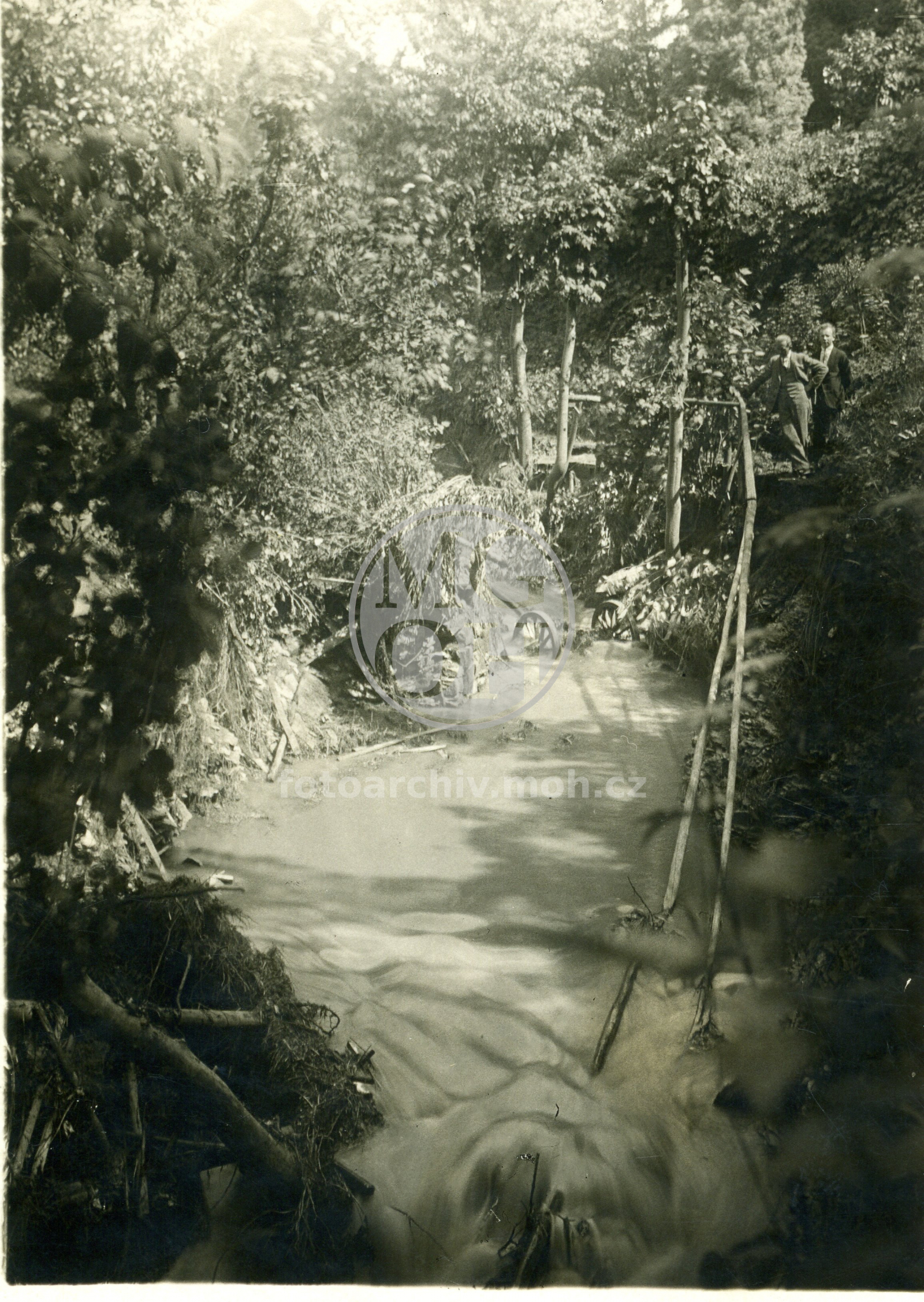 Fotografie - Povodeň