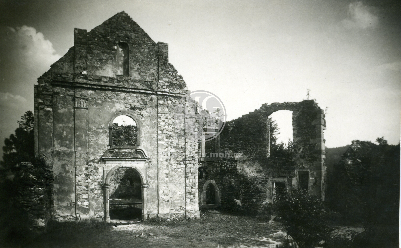 Fotografie - Zřícenina hradu