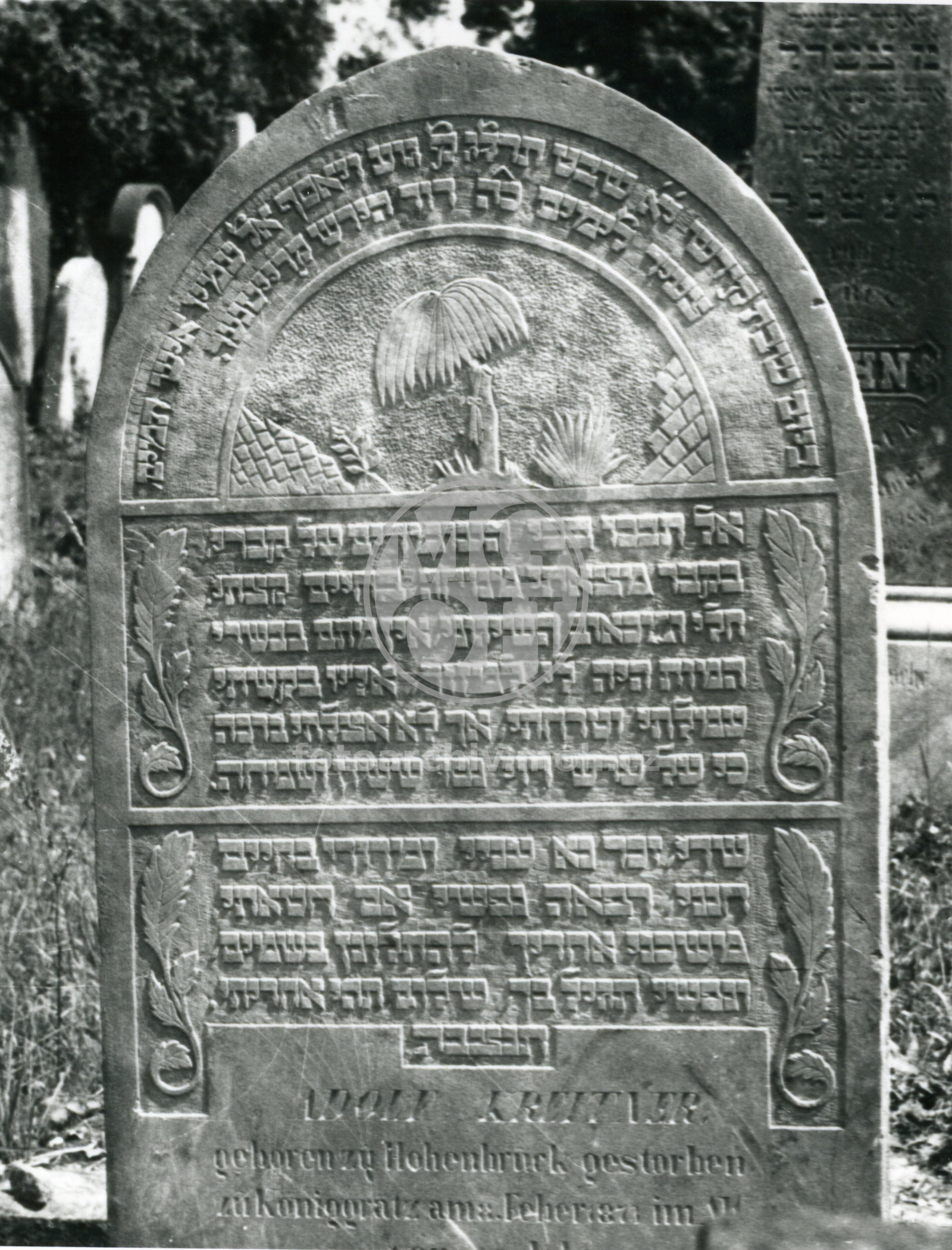 Fotografie - Židovské náhrobky