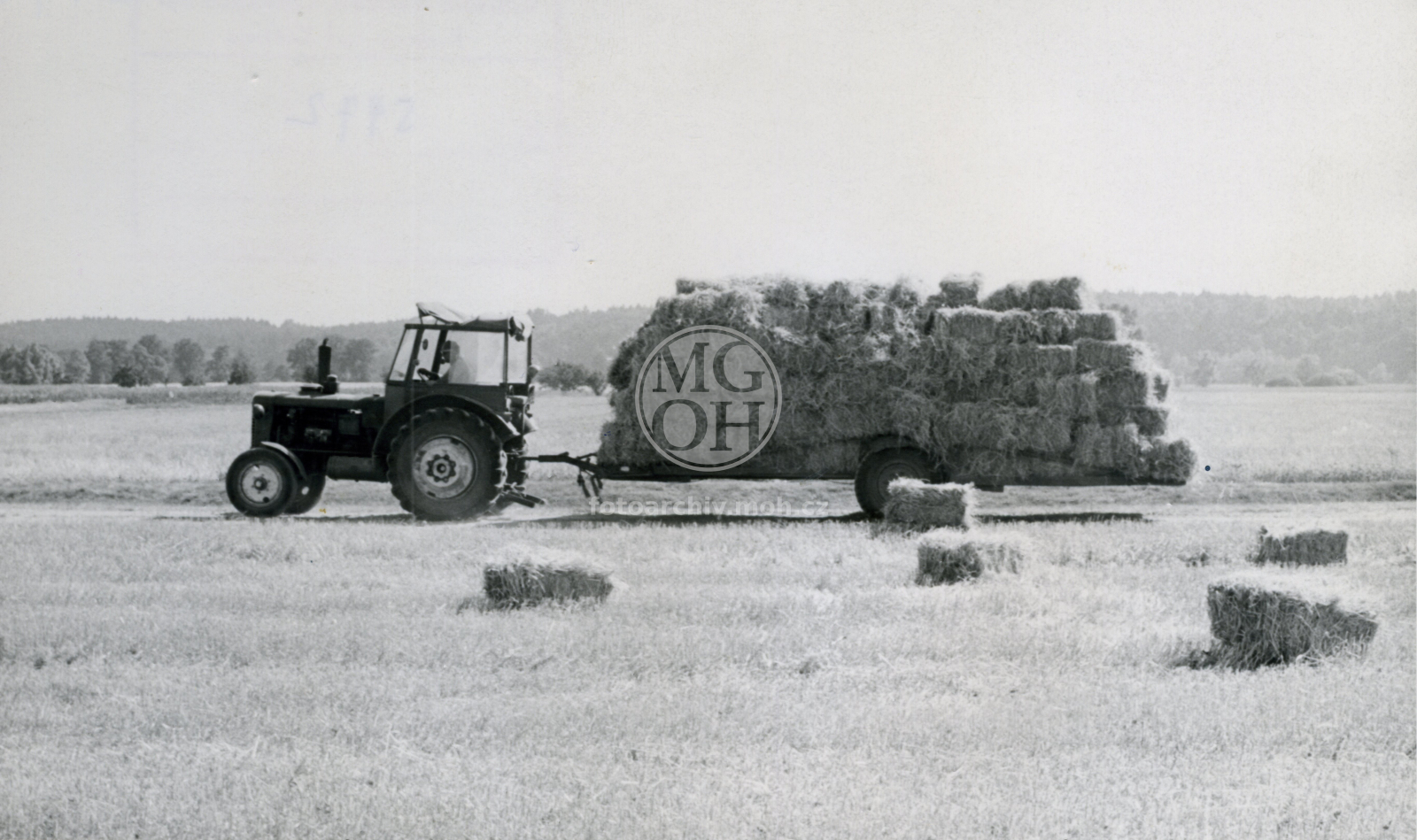 Fotografie - Svoz slámy, JZD