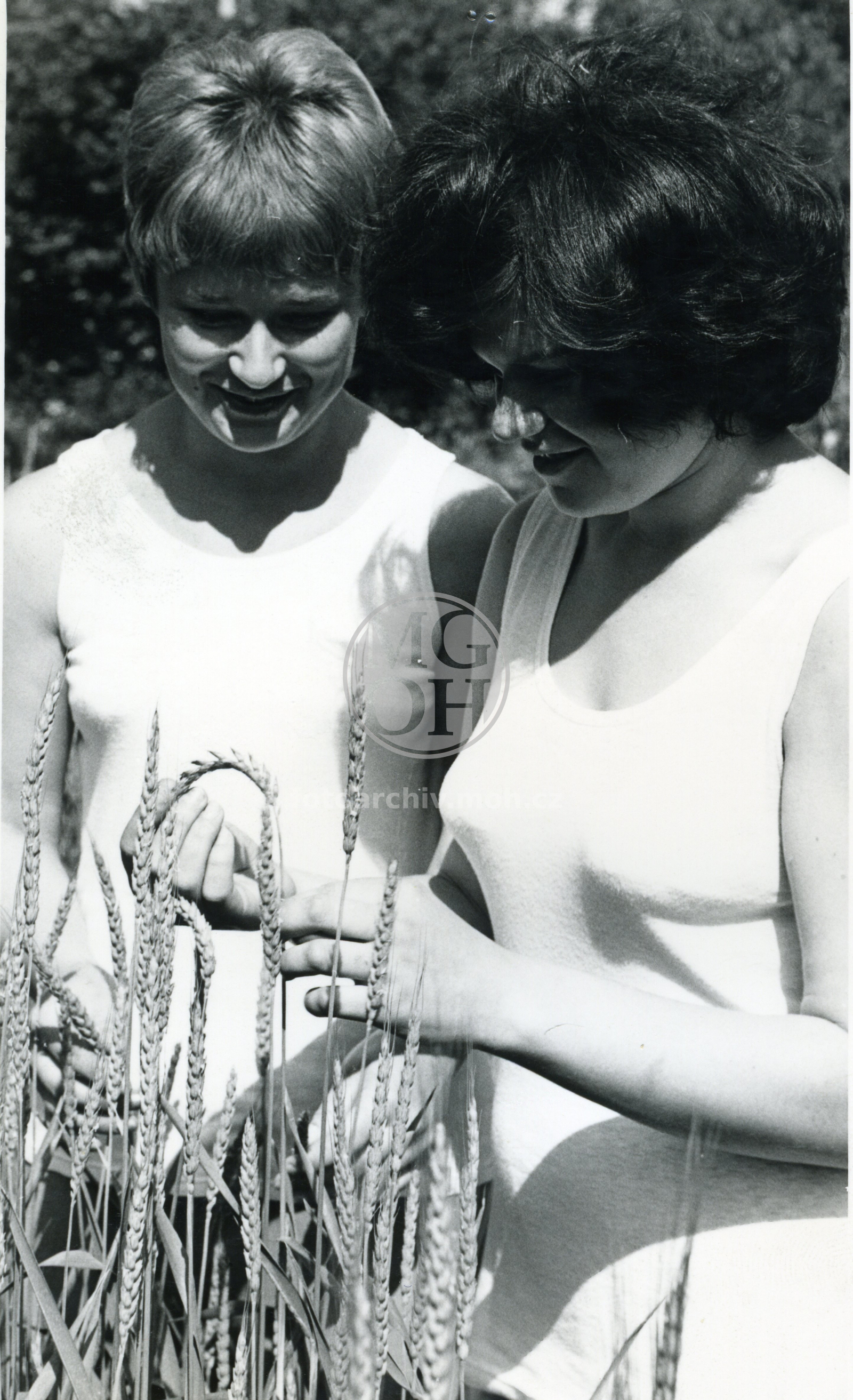 Fotografie - Zemědělská tech. Škola - studentky zkoumají obilí