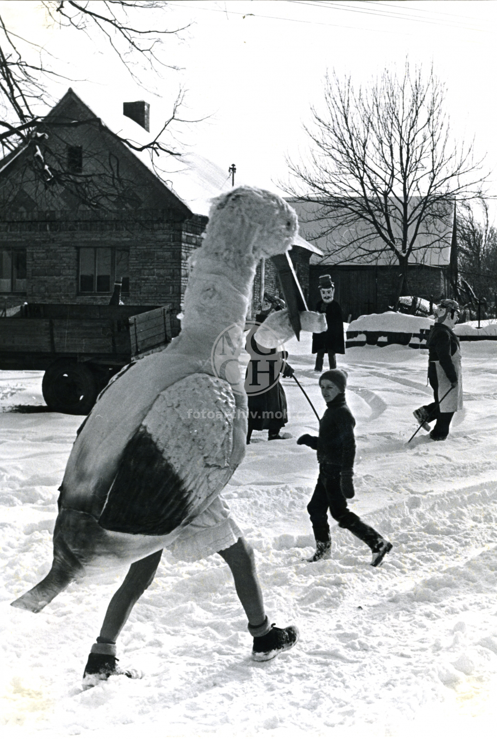 Fotografie - Maškary