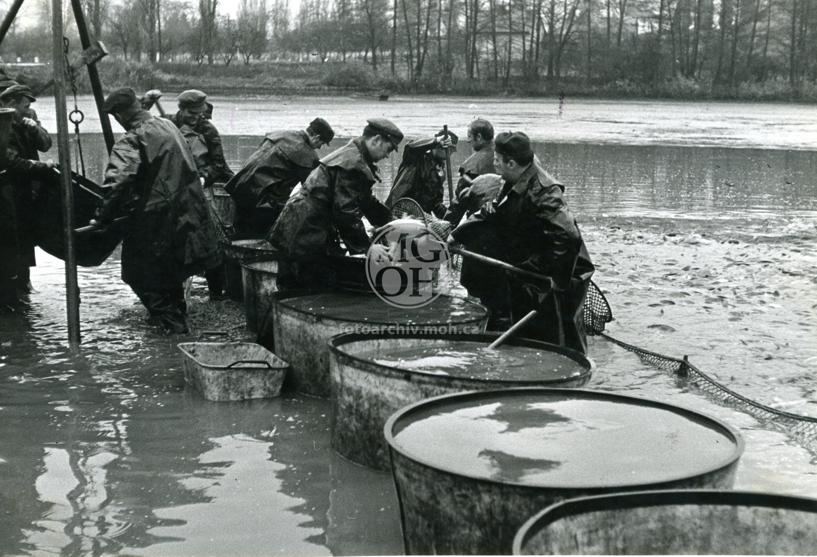 Fotografie - Výlov Broumaru