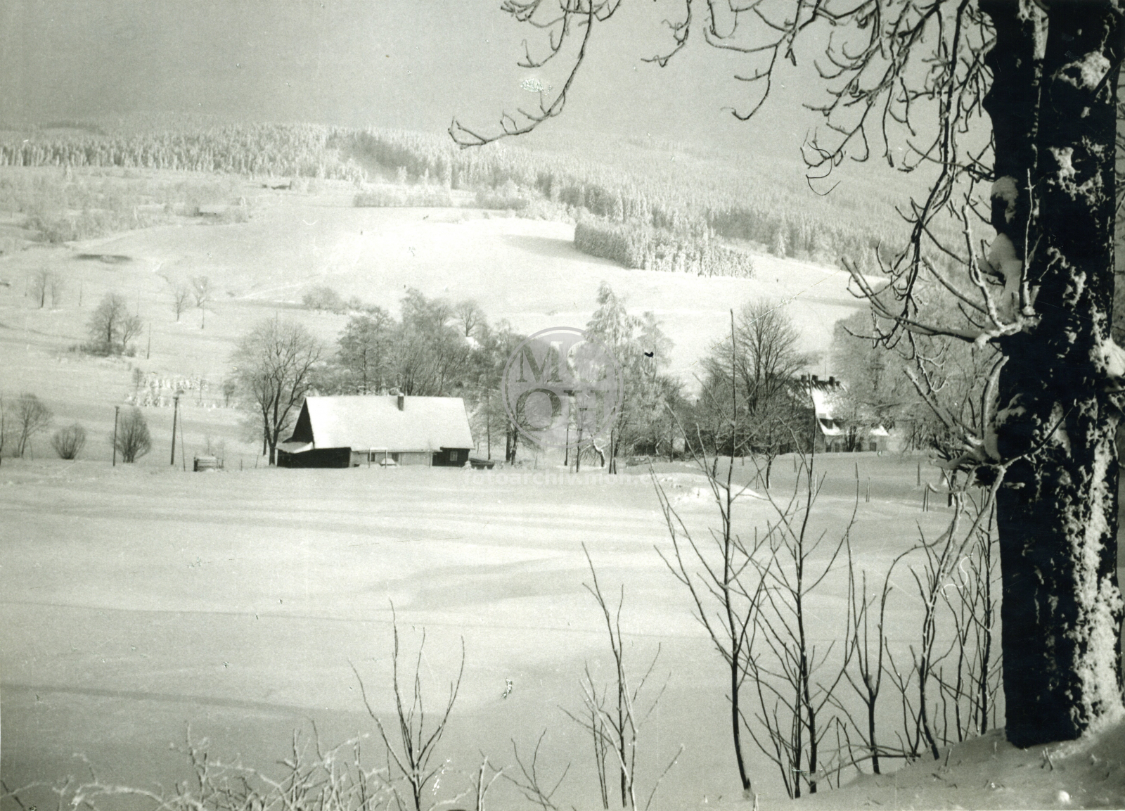 Fotografie - Polom v zimě