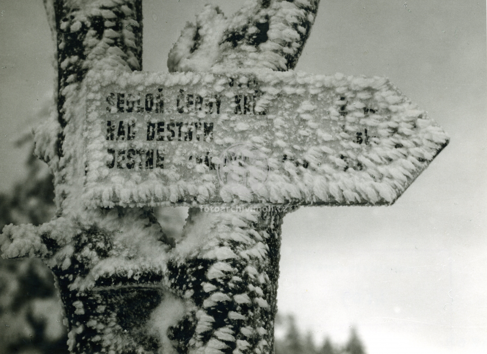 Fotografie - Námraza na ukazateli cesty