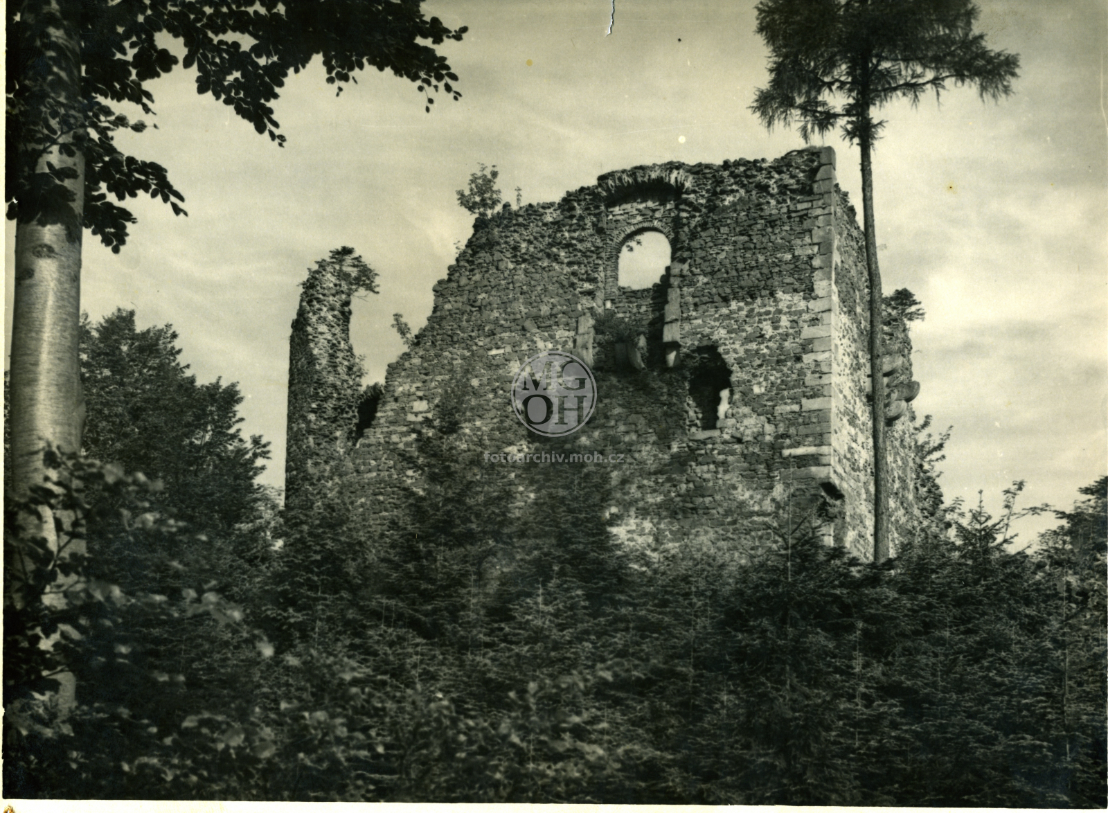 Fotografie - Zřícenina hradu, hradní palác s památným nápisem