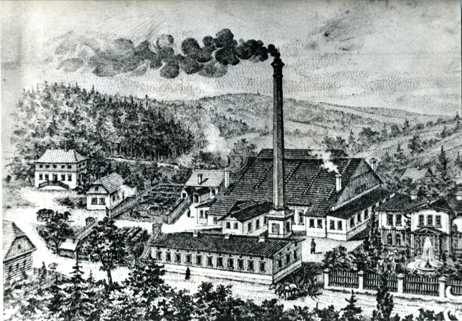 Fotografie - Poslední sklářská huť v Orlických horách