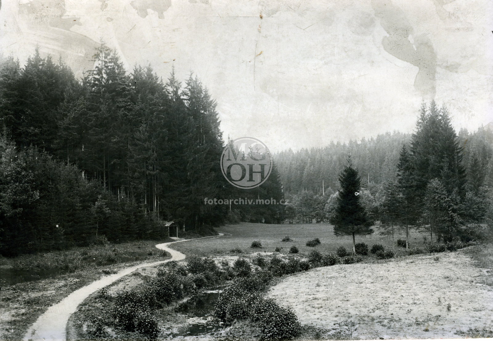 Fotografie - Louka ve Včelném