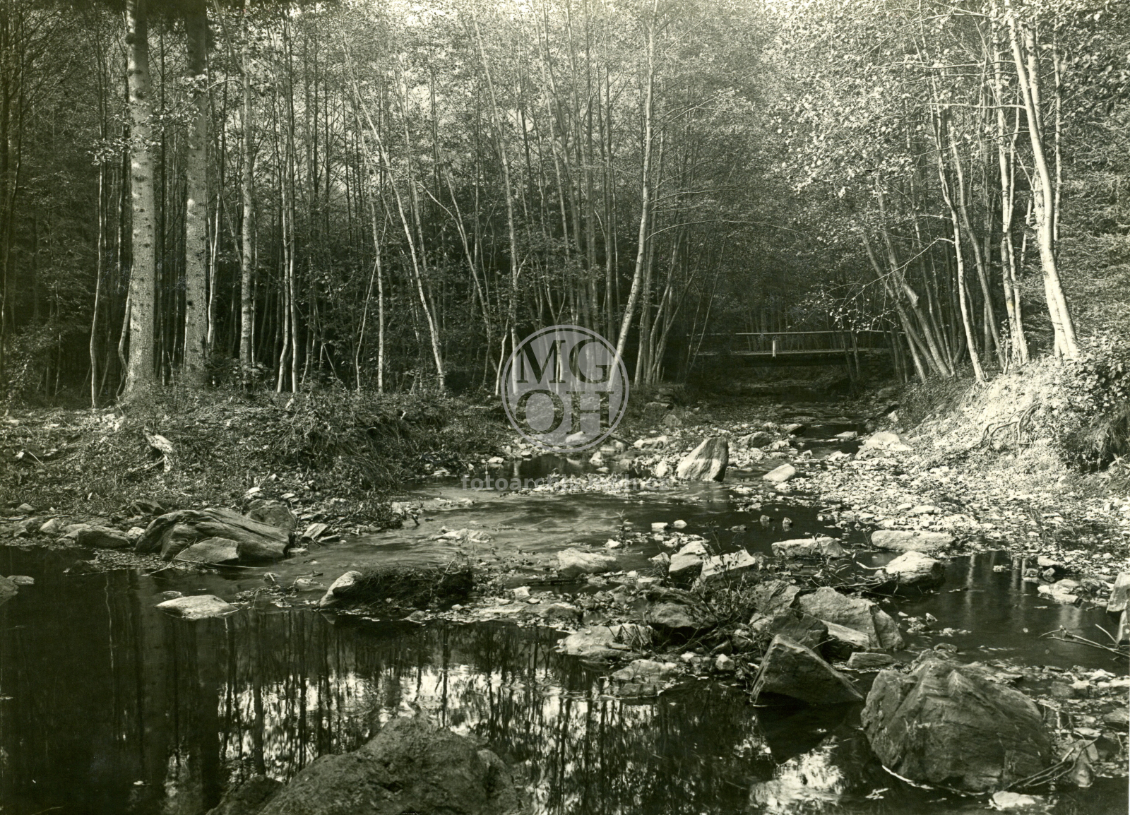 Fotografie - Javornický potok