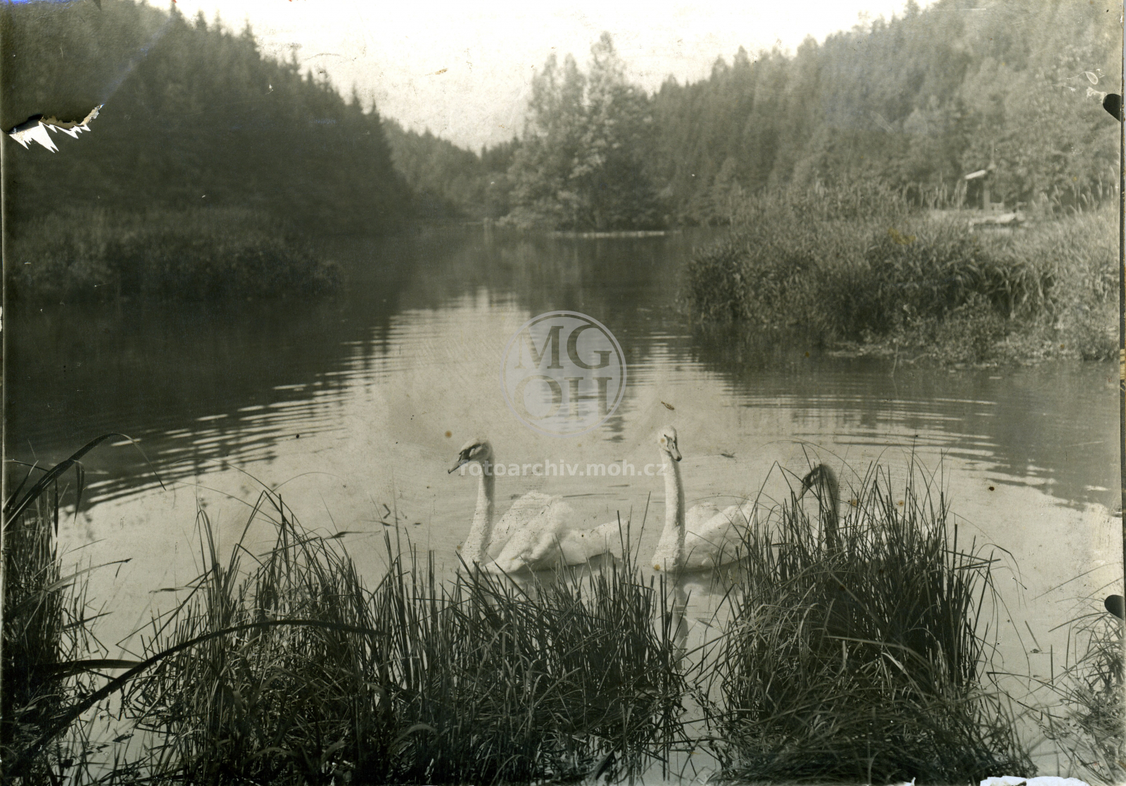 Fotografie - Ivanské jezero