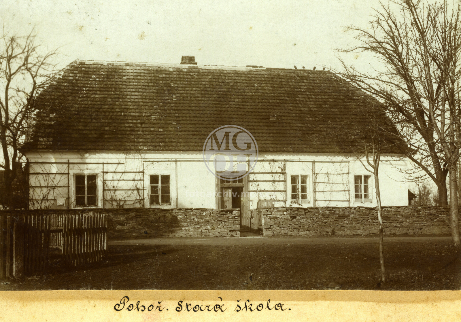 Fotografie - Nová škola