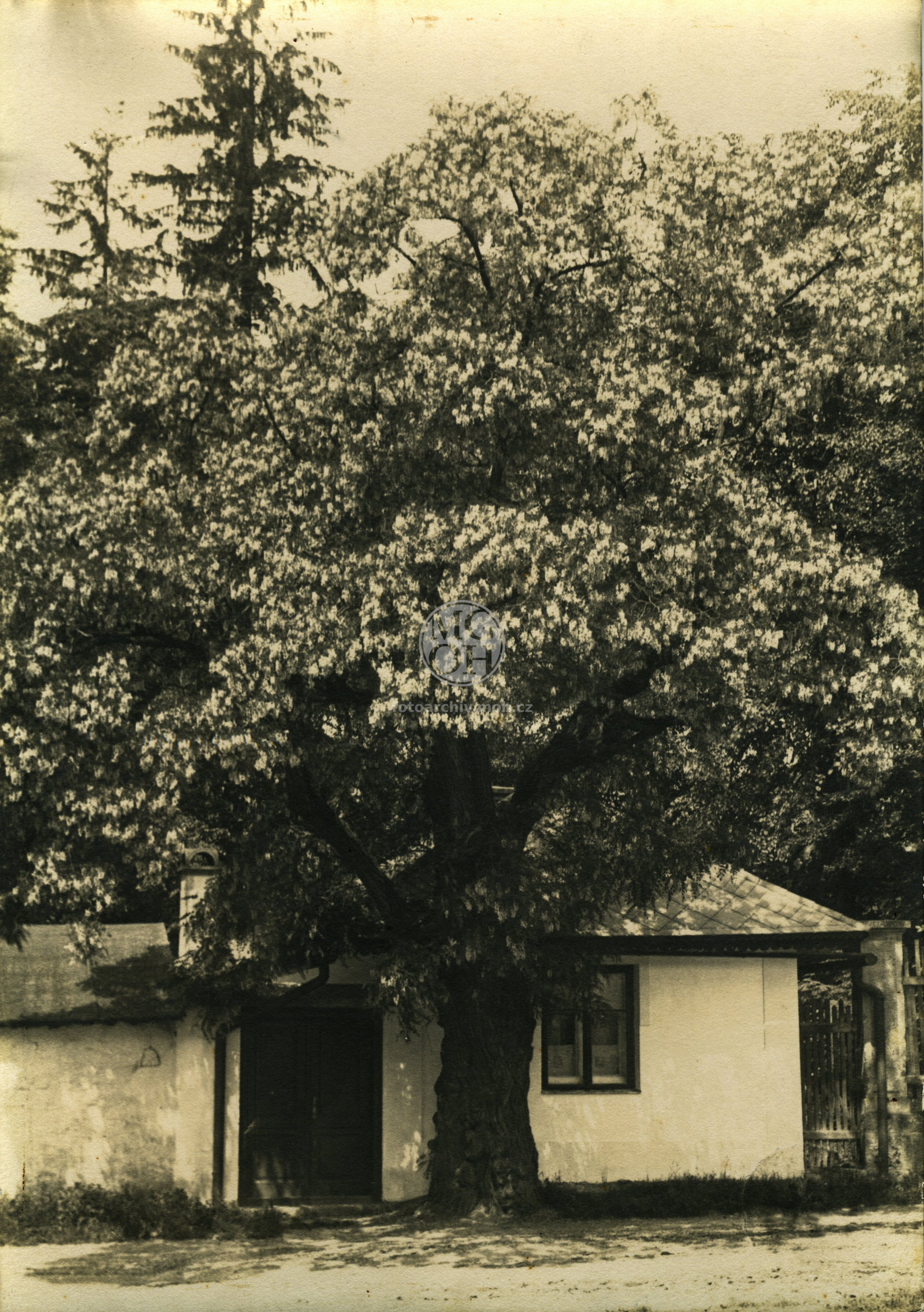 Fotografie - Dům čp. _15, býv. Schnaipmanovy lázně