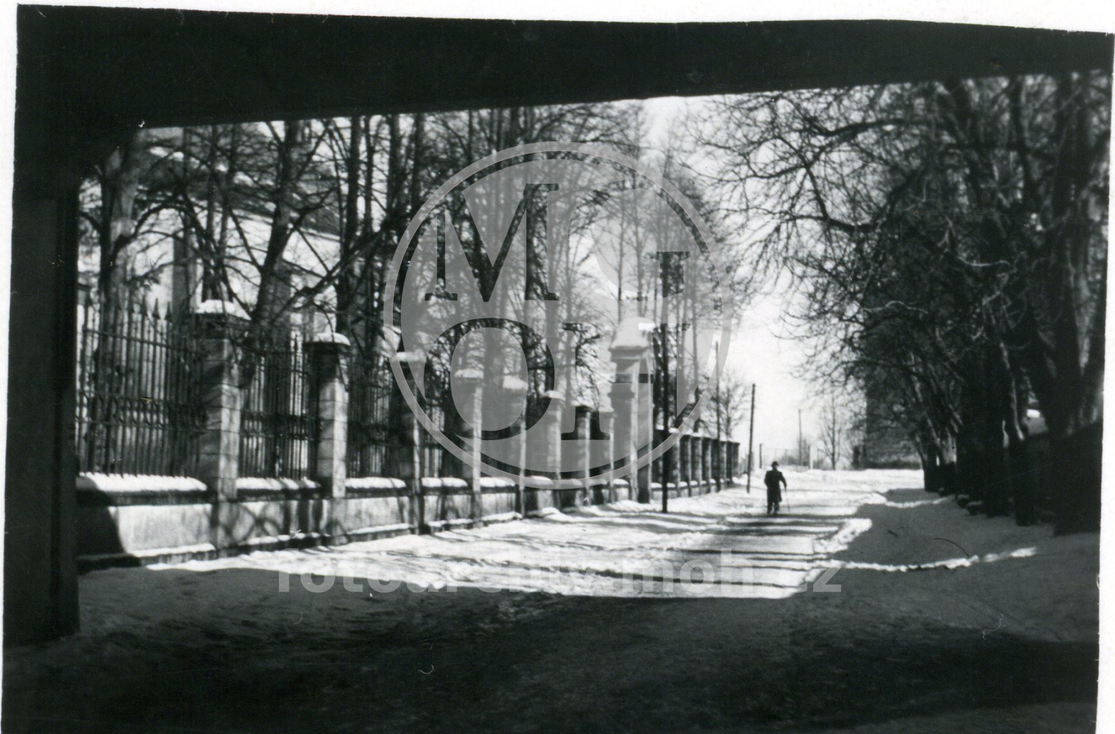 Fotografie - Kaštanová alej u Trojice, železná brána