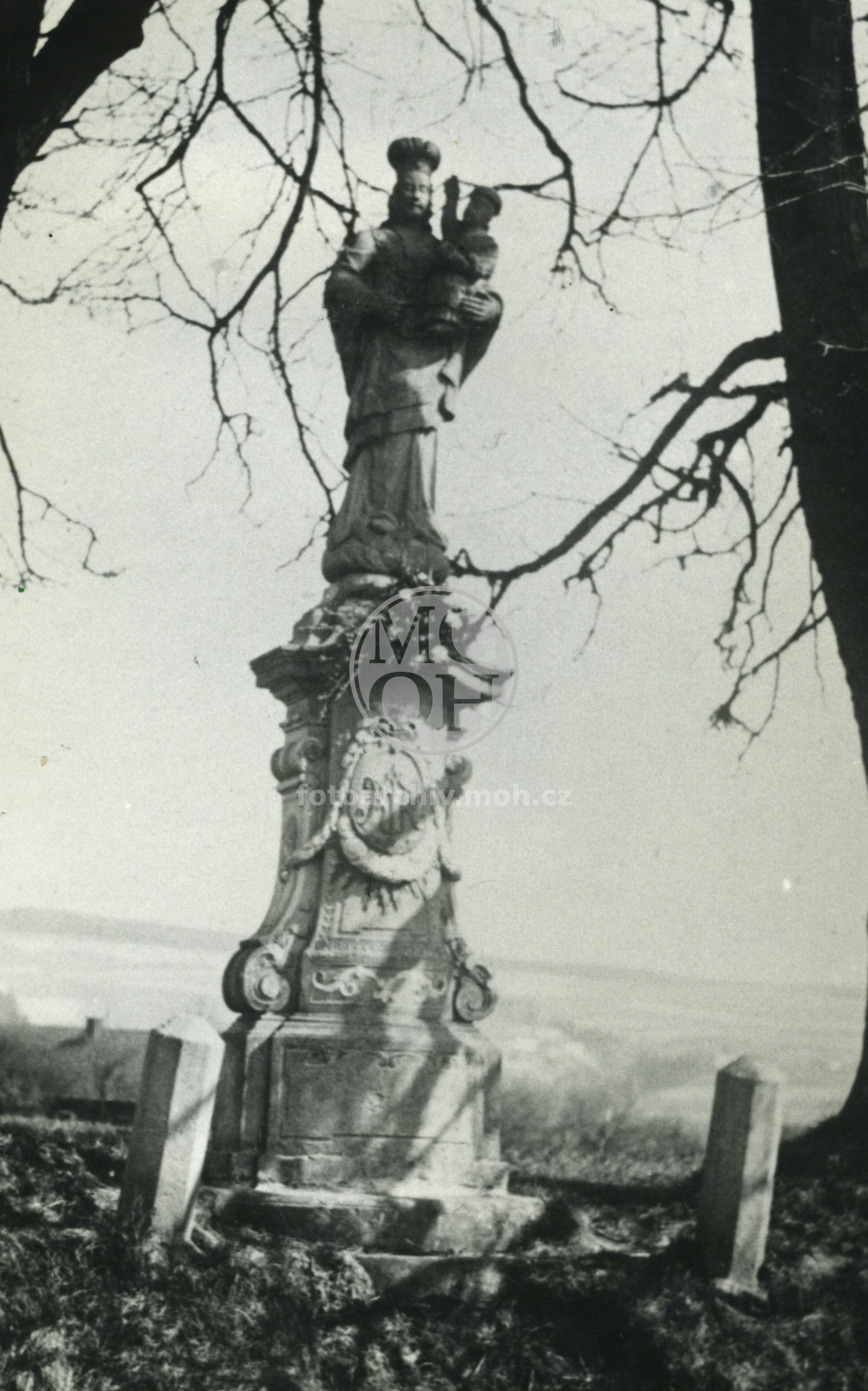 Fotografie - Socha Panny Marie na Podřezově za Horákovými