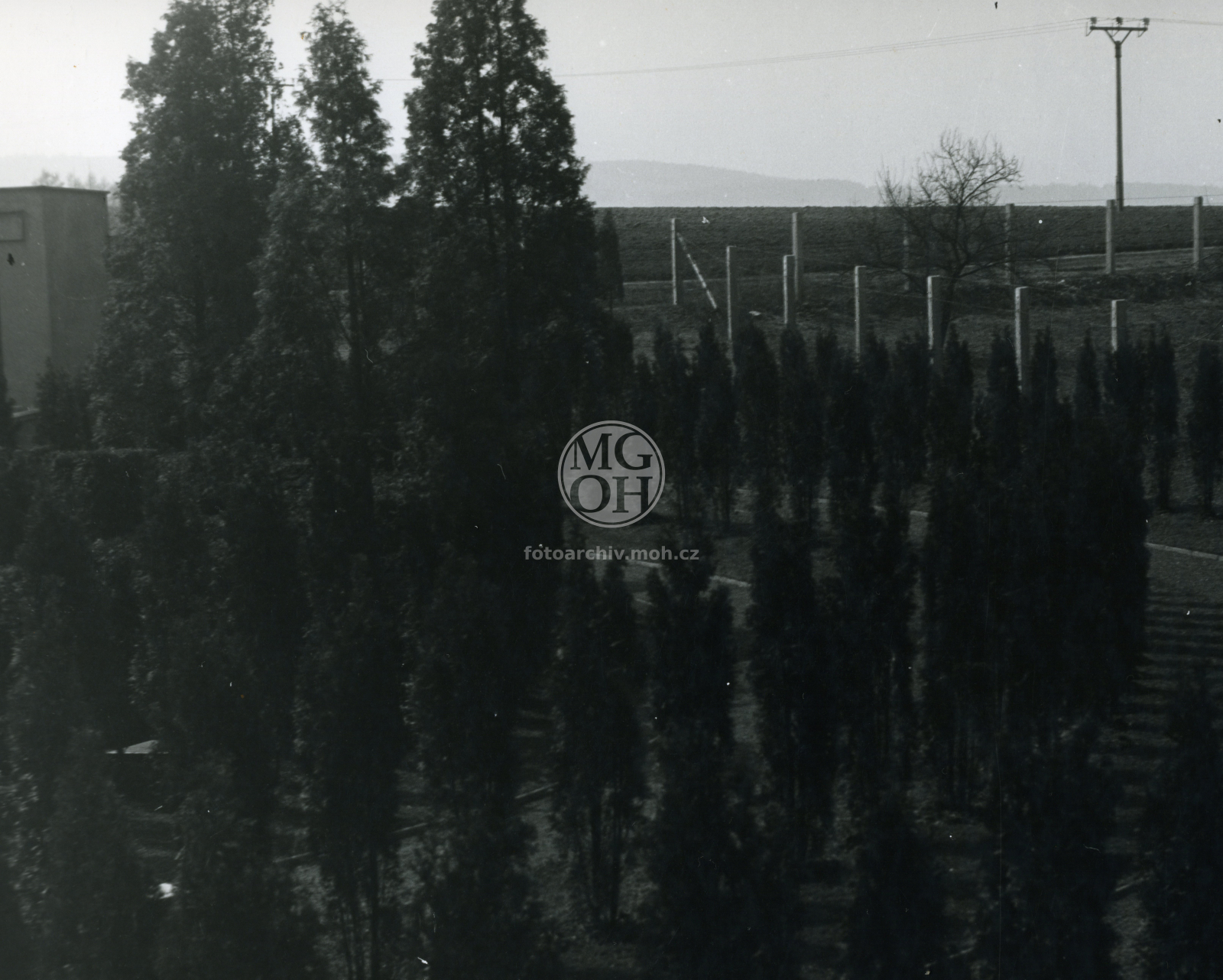 Fotografie - Urnový háj