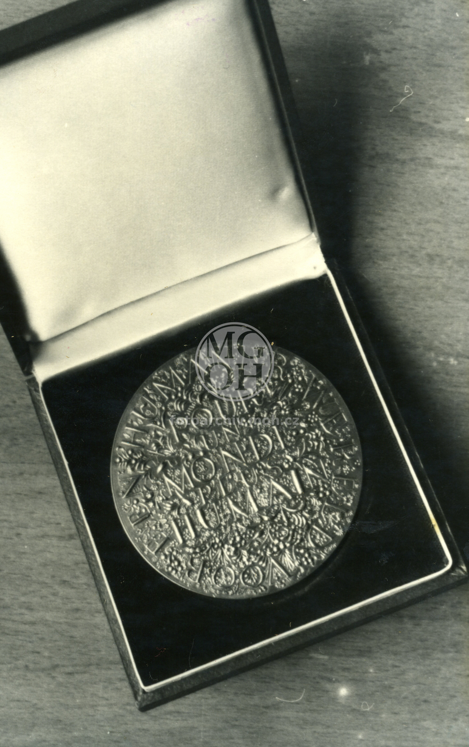 Fotografie - Zlatá medaile z Bruselu