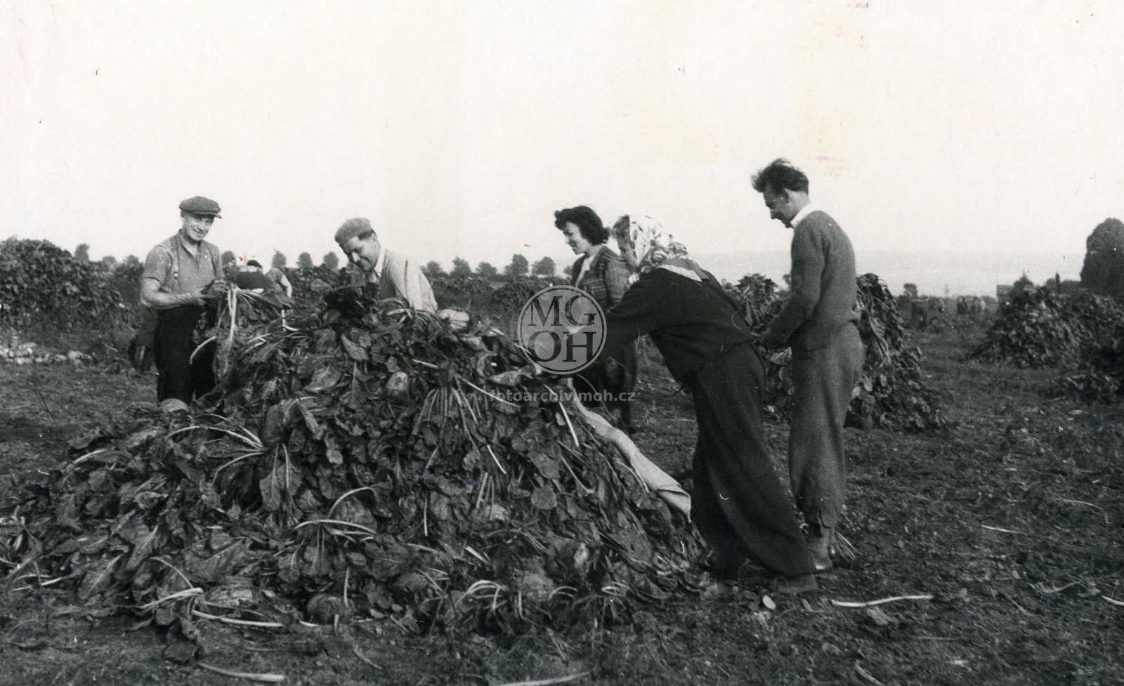 Fotografie - Na brigádě v ŽAZ