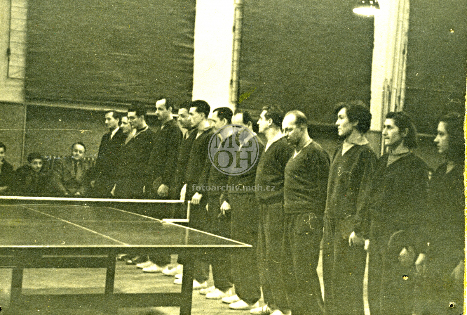 Fotografie - Stolní tenis